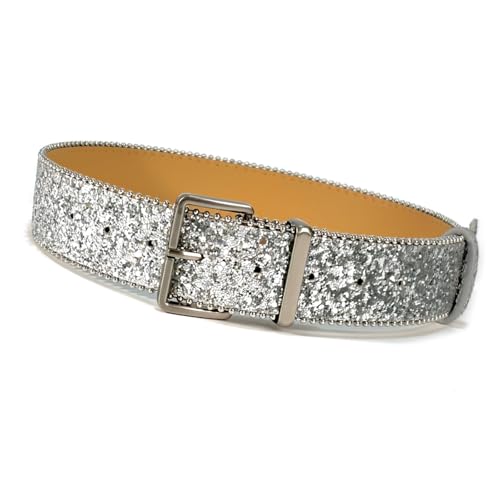 WNXGNHO Glitzernder Puder Metallschnallengürtel Für Erwachsene Pailletten Bund Alle Passenden Breiten Taillengürtel Formelle Event Taillenverzierung von WNXGNHO