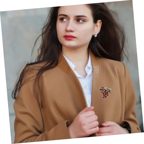 WOFASHPURET Glänzende Brosche Traubenmotiv aus Zinklegierung Strahlender Anstecker Vielseitiger Schalclip und Anstecknadel für Damen Geeignet für Pullover Schals Hüte und Rucksäcke zu von WOFASHPURET