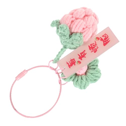 WOFASHPURET Schlüsselanhänger Ornamente Schlüsselanhänger Früchte Schlüsselanhänger Häkeln Hängender Schlüsselanhänger Anhänger Auto Schlüsselanhänger Taschenanhänger von WOFASHPURET