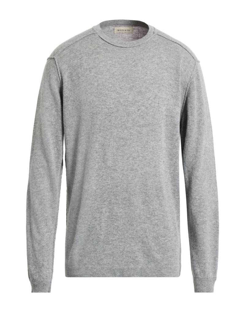 WOOL & CO Pullover Herren Hellgrau von WOOL & CO