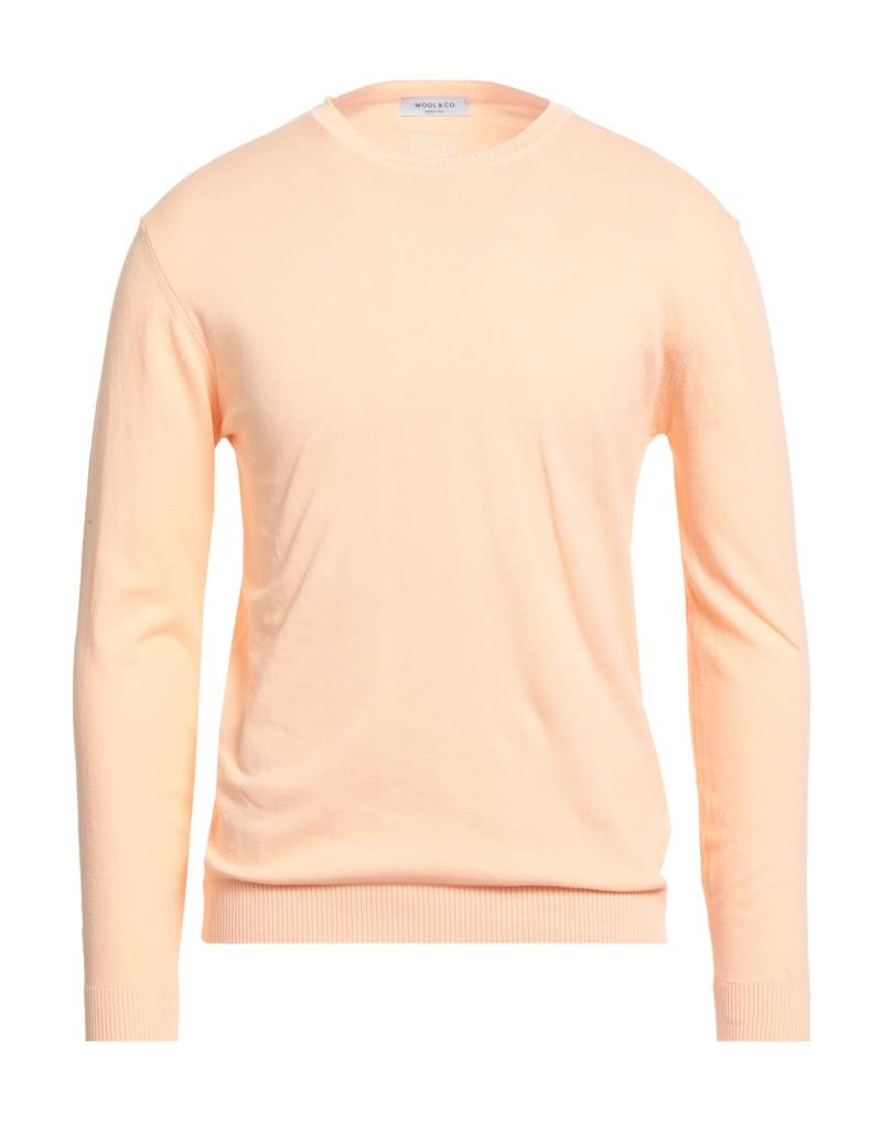 WOOL & CO Pullover Herren Pfirsich von WOOL & CO