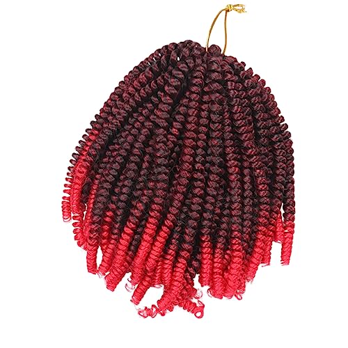 WOONEKY 2 Stk Kleine Federzopf-dreadlocks Schwarze Zöpfe Jumbo-häkelnadeln Kurze Afrikanische Zöpfe Zopfperücken Haarverlängerungen Häkeln Haare Häkeln Perücke Geflochtene Perücken Cass von WOONEKY