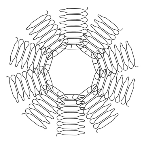 WOONEKY 40 Stück Teiliges Haarnetz Styling aus Metall U Förmige Haarkämme für Damen und Mädchen Langlebige Fixierkämme zur Kontrolle von Strähnen Vielseitiges Werkzeug für Glatte Dutts von WOONEKY