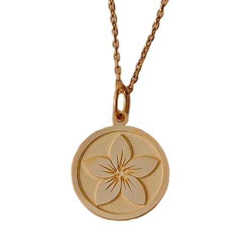 WORLD WIDE GEMS Luxuriöser Anhänger aus 925er-Sterlingsilber, 24 mm, ohne Kette, Plumeria-Blume, hawaiianisch, Schönheit, Charm-Symbolik, tropischer Schmuck, vergoldet, handgefertigt, WW_OPC_01542 WORLD WIDE GEMS Luxuriöser Anhänger aus 925er-Sterlingsilber, 24 mm, ohne Kette, Plumeria-Blume, hawaiianisch, Schönheit, Charm-Symbolik, tropischer Schmuck, vergoldet, handgefertigt, WW_OPC_01542 von WORLD WIDE GEMS