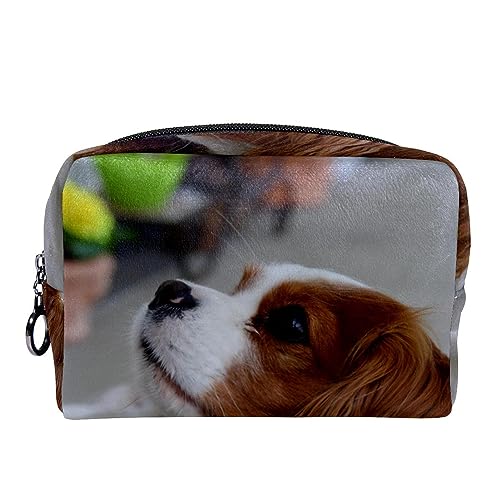 Kleine Kosmetiktasche Reisekosmetiktasche mit Reißverschluss,Netter unbekümmerter King Charles Spaniel-Hund,Kosmetik Organizer für Frauen von WOSHJIUK