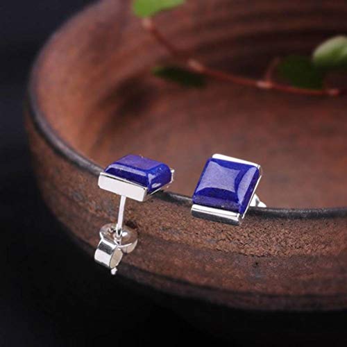 WOZUIMEI Eardrop Ohrringe Einfache Ohrringe Time S925 Sterling Silber Schmuck ArtCome Style Lapislazuli Damen Ohrringe Gezeigt 925 Silber von WOZUIMEI