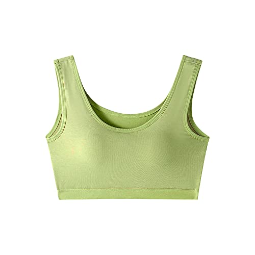 WQEPYY Damen Sport BH Nahtlos Camisole Bandeau Sport-BH Schlaf-BH Womens Strech Duenn Ohne Buegel Push up Yoga Sports BH Stretch Action Freizeit hochwertige Unterwäsche(Grün L) von WQEPYY