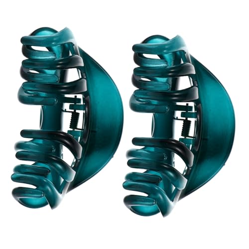 WRITWAA 2stücke Groß Haarklammer Für Damen Acryl Haarclips Zarte Kieferklammern Clips Für Dickes Dünnes Haar von WRITWAA