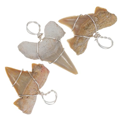 WRITWAA 3Stücke Zahnschmuck Anhänger für DIY Armbänder Leicht Langlebig für Kreative Handwerksprojekte Haifischzahn Design Perfektes Accessoire WRITWAA 3Stücke Zahnschmuck Anhänger für DIY Armbänder Leicht Langlebig für Kreative Handwerksprojekte Haifischzahn Design Perfektes Accessoire von WRITWAA