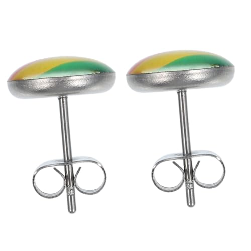 WRITWAA Regenbogen Ohrstecker Lgbt Pride Ohrringe Unisex Schmuck für Gay Lesbian Langlebig Modisch Sicher Alltagsschmuck von WRITWAA