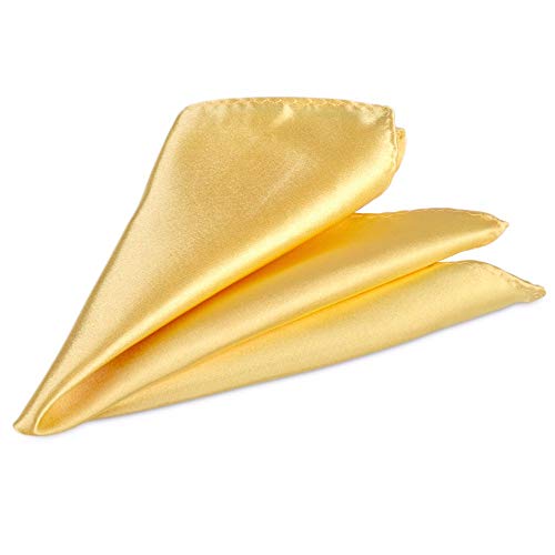 WS Einstecktuch zu Krawatte Kavalierstuch passend zu Krawatte und Fliege Herren (gold) von WS