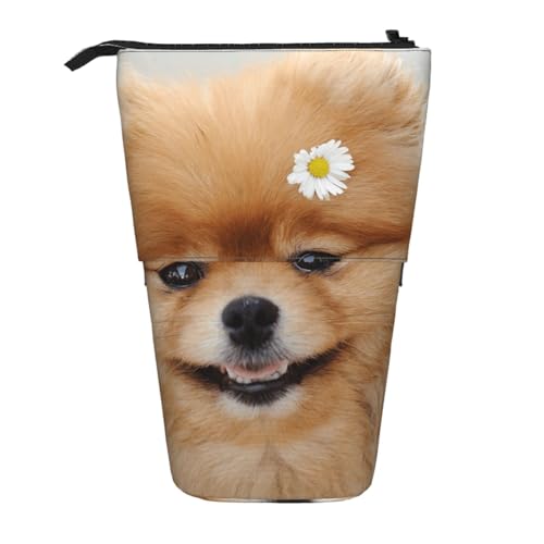 WSHFFILO Bleistifttasche mit Zwergspitz-Motiv, ausziehbar, ausziehbar von WSHFFILO