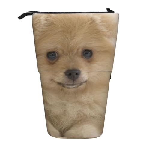 WSHFFILO Bleistifttasche mit niedlichem Zwergspitz-Motiv, ausziehbar, ausziehbar von WSHFFILO