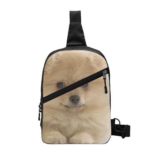 WSHFFILO Brustrucksack mit süßem Zwergspitz, bedruckt von WSHFFILO