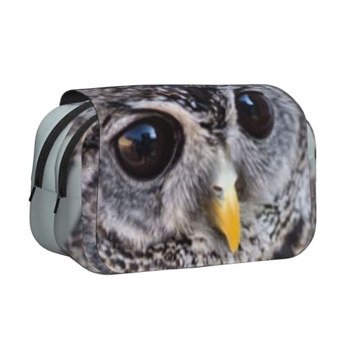 WSHFFILO Federmäppchen mit niedlichem Eulen-Motiv, doppeltes Klappetui, Federmäppchen, tragbare Schreibwarentasche, Schwarz , Einheitsgröße, Münztasche von WSHFFILO