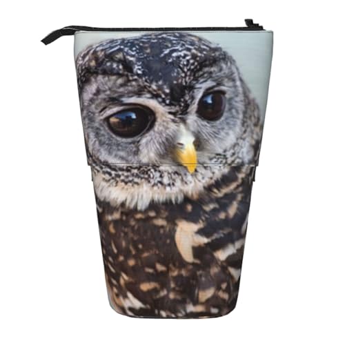 WSHFFILO Federmäppchen mit niedlichem Eulendruck, ausziehbar, ausziehbar von WSHFFILO