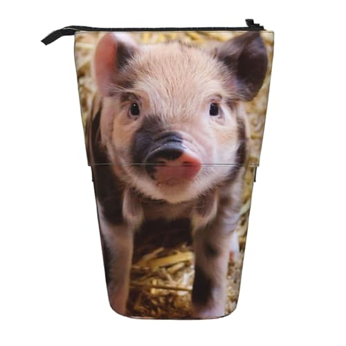 WSHFFILO Federmäppchen mit niedlichem Schweinchen-Motiv, ausziehbar, ausziehbar von WSHFFILO