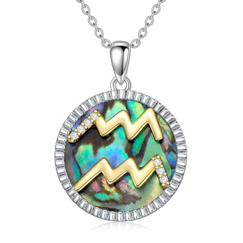 WSX 0,06 Cttw Diamant-Wassermann-Anhänger mit Perlmutt für Damen - S925 Sterlingsilber 12 Sternzeichen-Münzanhänger von WSX