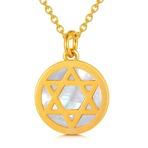 WSX Davidstern Halskette 925 Sterling Silber 18K Gold plattiert Hexagramm Halskette für Frauen von WSX
