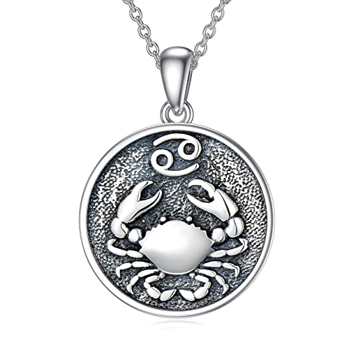 WSX Krebs Halskette 925 Sterling Silber Sternbild Halskette Horoskop Medaillon Choker Münze Charme zierlicher himmlischer Astrologie Schmuck für Frauen von WSX