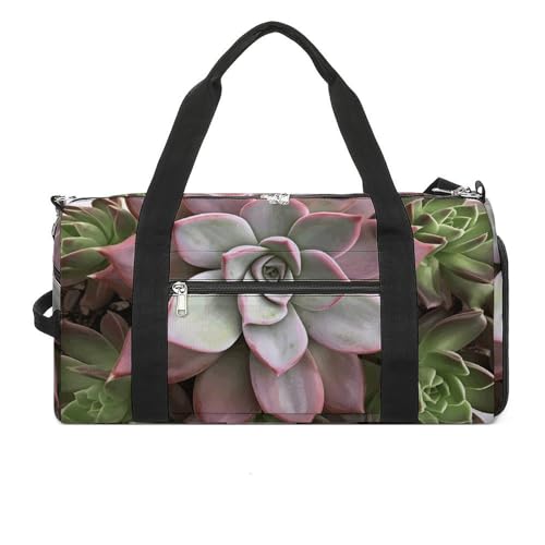 Reisetasche, Reisetasche, Motiv: Sukkulenten, Botanischer Druck, für Damen und Herren, Turnbeutel, Turnbeutel mit Schuhfach, Sukkulenten, botanisch, Einheitsgröße, Sukkulenten-botanisch, Einheitsgröße von WYUSPGK