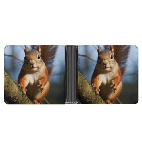 WYUSPGK Herren-Geldbörse, Herren-Ledergeldbörse, Eichhörnchen, lustiger Tierdruck, geeignet für den täglichen Gebrauch auf Reisen, Eichhörnchen, lustiges Tier, Einheitsgröße, Lustiges von WYUSPGK