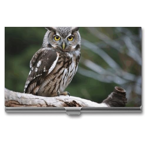 WYUSPGK Visitenkartenetui aus Metall, Motiv: Wildeule, Vögel, Visitenkartenhalter, Tasche für Männer und Frauen, XB0608021, Wildeule, Einheitsgröße, Wilde Eulenvögel, Einheitsgröße von WYUSPGK