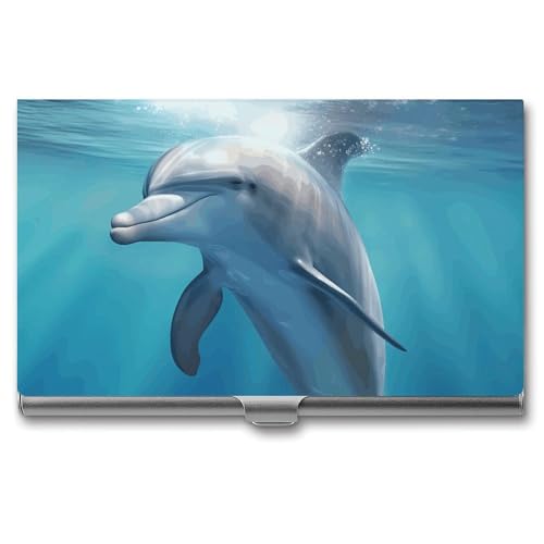 WYUSPGK Visitenkartenetui aus Metall, Winter-Delfin-Druck, Visitenkartenhalter für Männer und Frauen, Winter, Delfin, Einheitsgröße, Winter der Delfin, Einheitsgröße von WYUSPGK