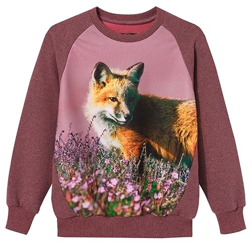 Wadera Cotton Pullover Kinder – Sweatshirt Jungen und Mädchen – Sicher Und Bequem Für Kinder – Kinderpullover Für Jungs – Kinderpullover 146/152 Rosa mit Fuchs von Wadera