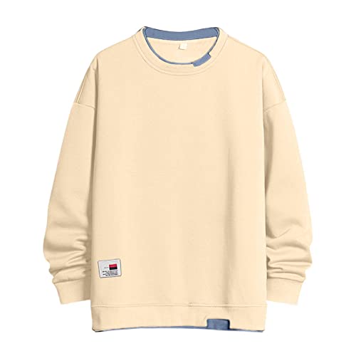 Herren Casual Herren Langarmshirt Rundhalsausschnitt Techwear Japanisches Harajuku Sweater Pulli Langarm Streetwear Regular Fit Einfarbig Sweatshirt Vintage Kapuzenjacke von Wahuan