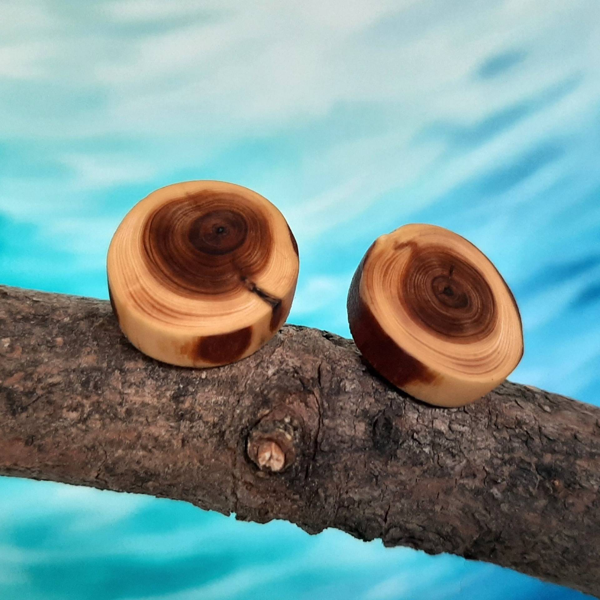 Großer Ohrstecker Aus Eibenholz Ohne Rinde, Ø 16-17mm, Handgefertigter Naturschmuck, Unikate Dem Wald Großer Ohrstecker Aus Eibenholz Ohne Rinde, Ø 16-17mm, Handgefertigter Naturschmuck, Unikate Dem Wald von Waldschnuppe