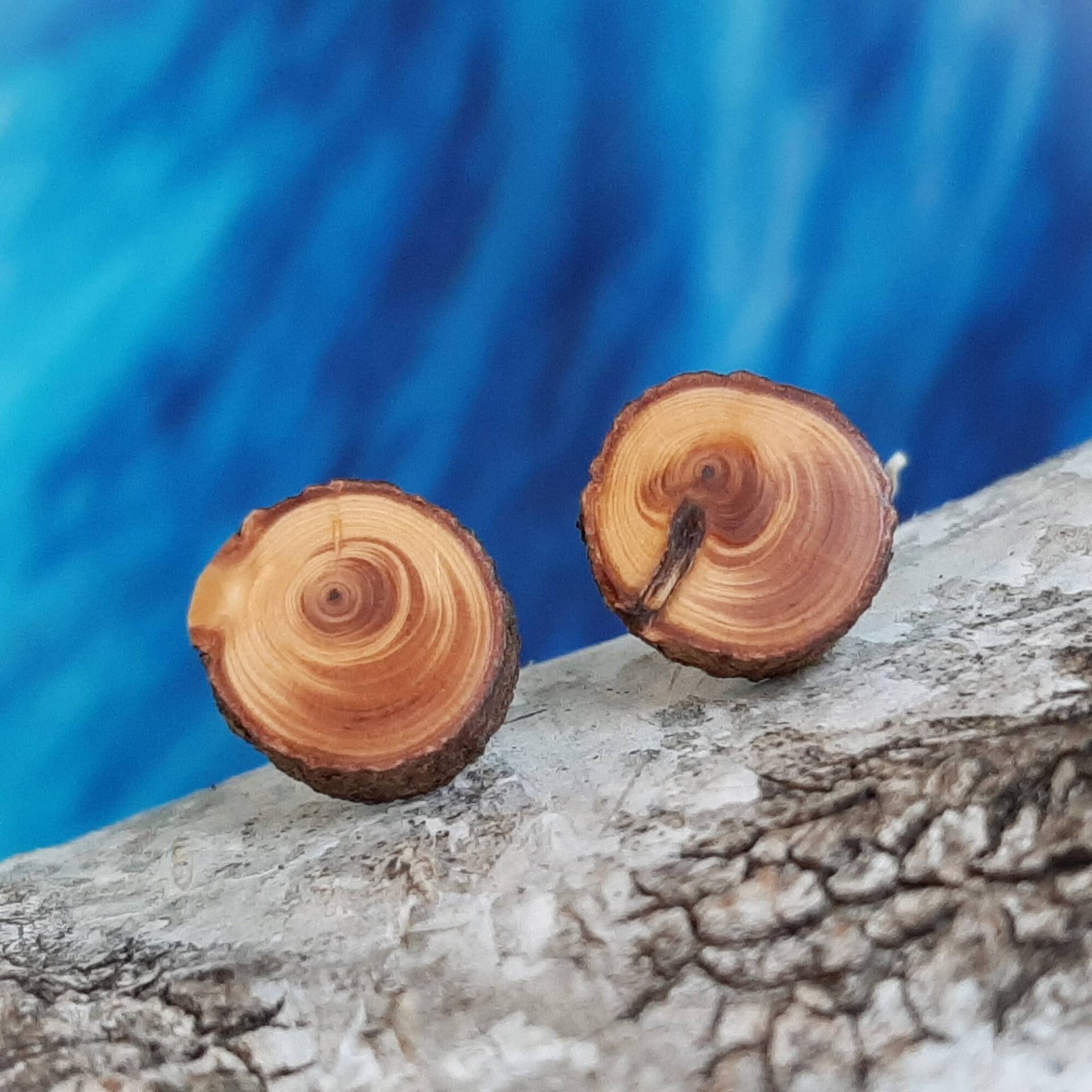 Handgefertigtes Ohrstecker-Paar Aus Holz Mit Besonderer Maserung, Ø 13-14mm Handgefertigtes Ohrstecker-Paar Aus Holz Mit Besonderer Maserung, Ø 13-14mm von Waldschnuppe