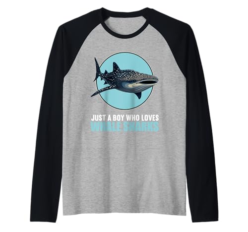 Herren Walhaie Walhai Raglan Herren Walhaie Walhai Raglan von Walhaie Walhai Tier Shop