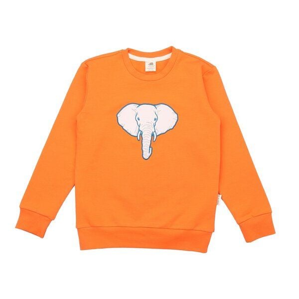 Kinder Sweatshirt GOTS-zertifiziert aus Bio-Baumwolle, orange mit Elefantenmotiv, langarm – Walkiddy, weich & hautfreundlich von Walkiddy