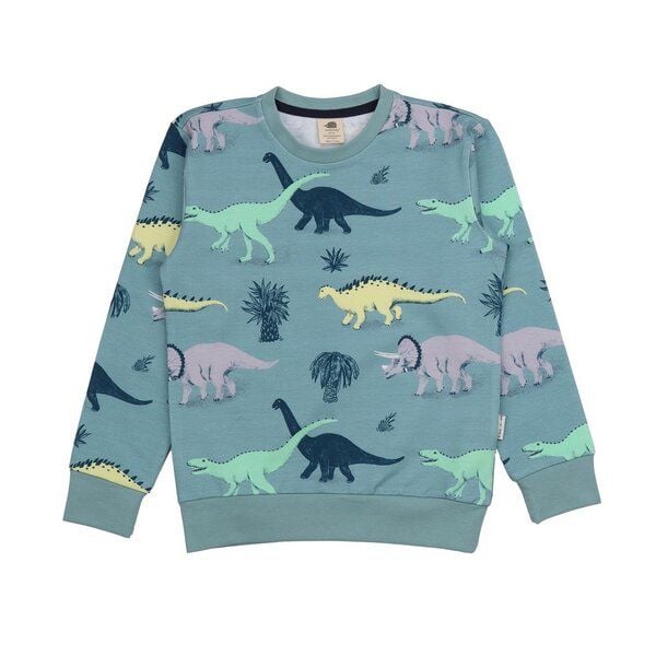 Kinder Sweatshirt GOTS-zertifiziert aus Bio-Baumwolle blaugrün mit Dinosaurier-Motiv – Walkiddy von Walkiddy