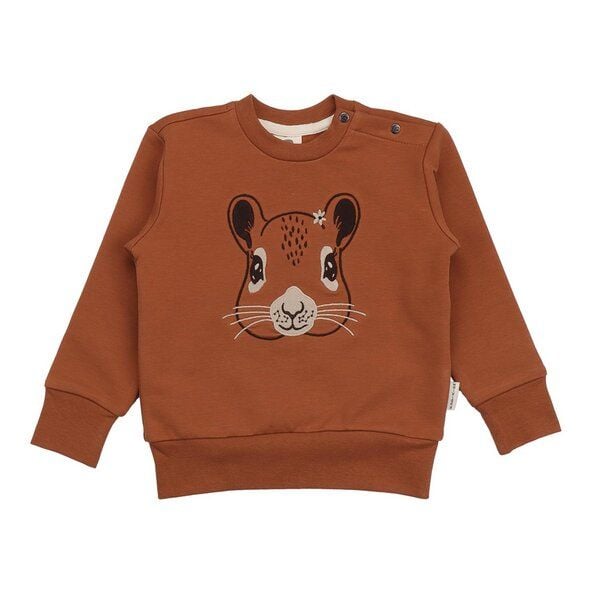 Kinder Sweatshirt GOTS-zertifiziert aus Bio-Baumwolle braun mit Eichhörnchen-Motiv „Tiny Squirrels“ – Walkiddy von Walkiddy