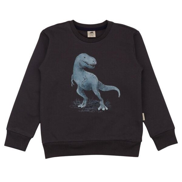 Walkiddy Anthracite-Sweatshirt 140 von Walkiddy