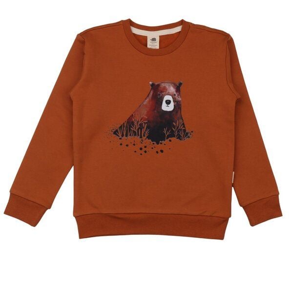 Walkiddy Brown-Sweatshirt von Walkiddy