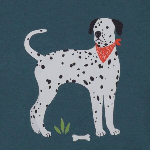 Walkiddy Green-Sweatshirt von Walkiddy