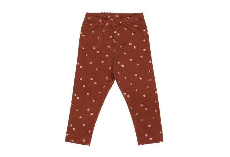 Walkiddy Leggings Kinder Leggings mit Pfotenmotiv aus Bio-Baumwolle von Walkiddy