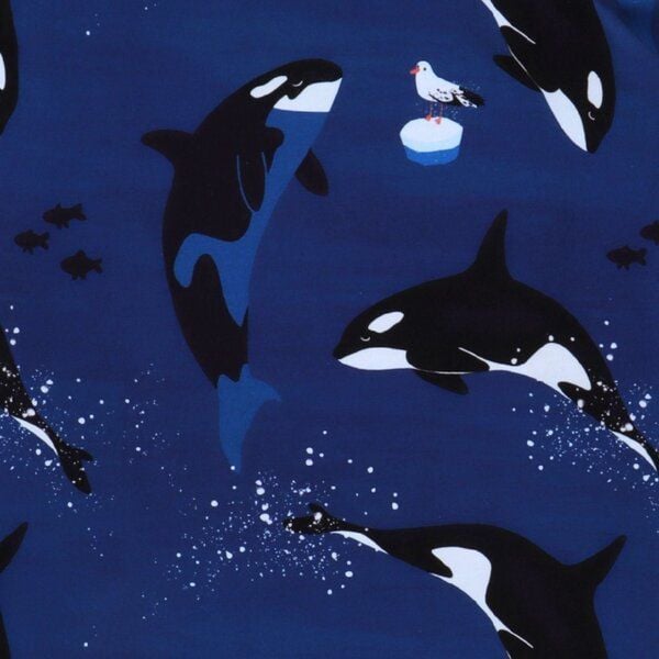 Walkiddy Playful Orcas-Shirt 98 von Walkiddy