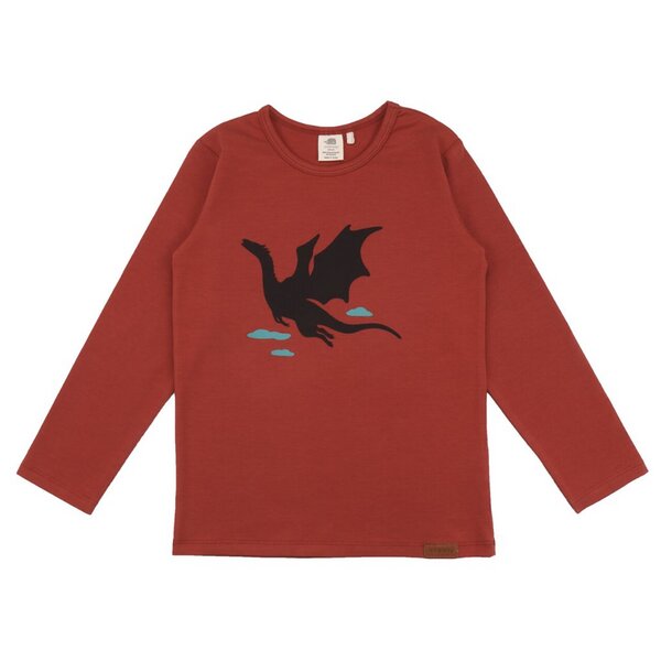 Walkiddy Shirt longsleeve Drache von Walkiddy