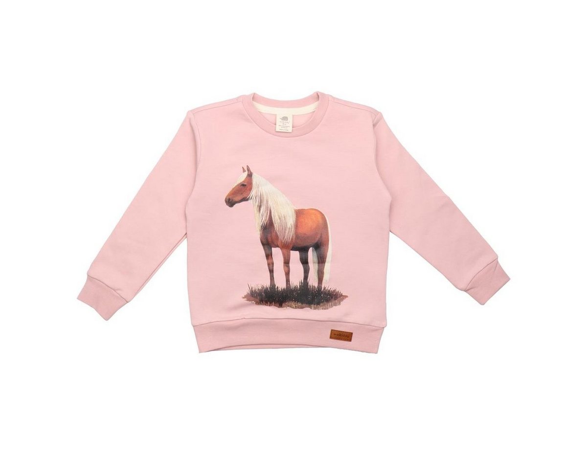 Walkiddy Sweatshirt BH21-501 von Walkiddy