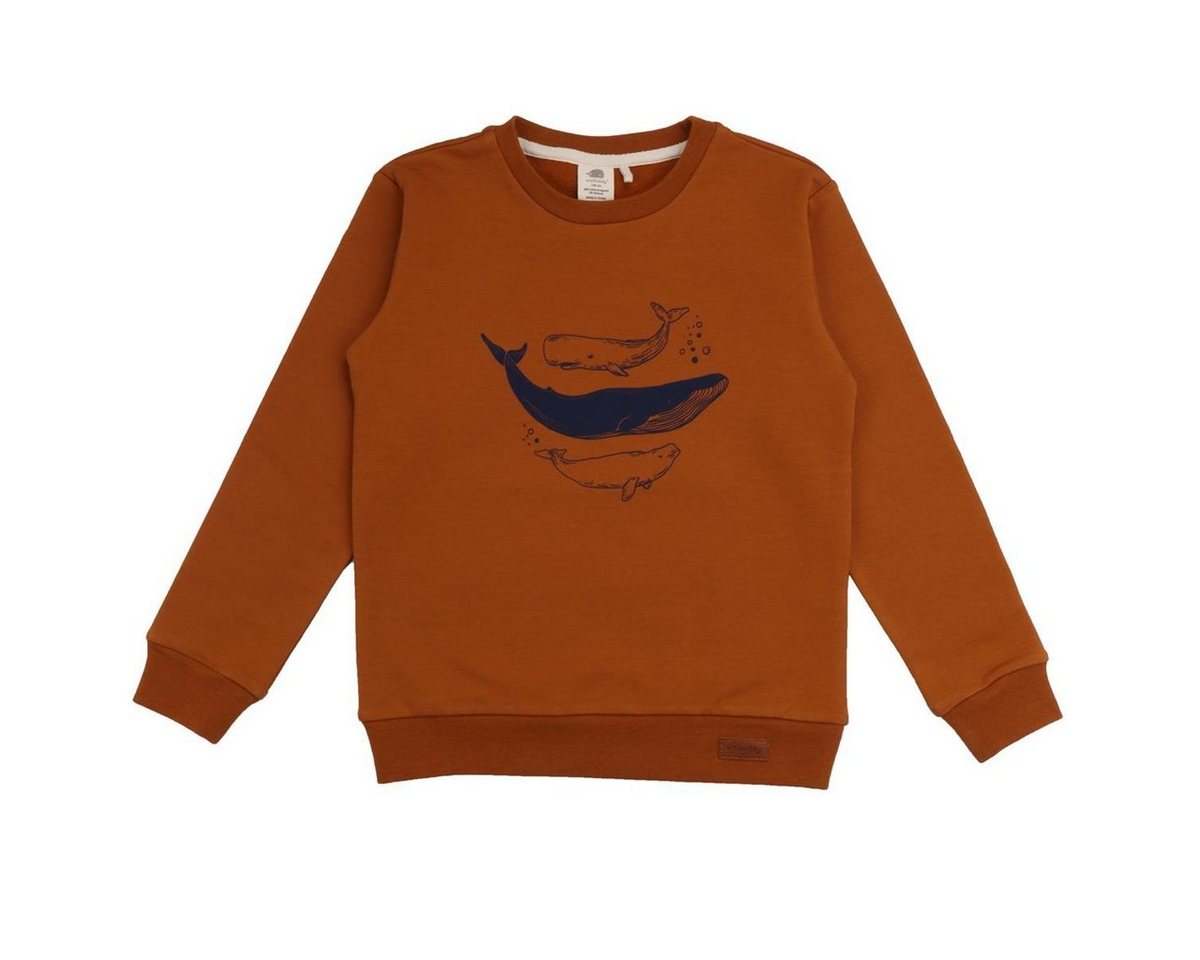 Walkiddy Sweatshirt WF22-501 von Walkiddy