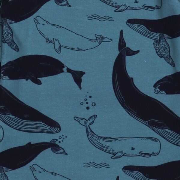 Walkiddy Whale Friends-Shirt von Walkiddy