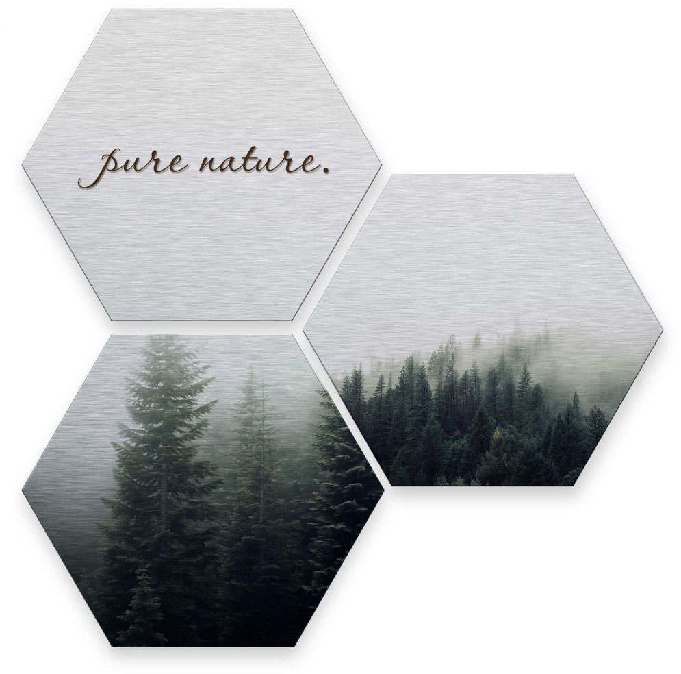 Wall-Art Mehrteilige Bilder "Silber Effekt Pure Nature Wald", Pflanzen, (Set, 3 St.) von Wall-Art