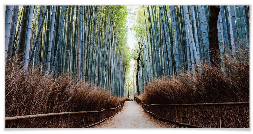 Wall-Art Poster "Bambuswald Fotokunst Japan", Höhlen, (Set, 1 St.) von Wall-Art
