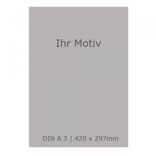 Dtf-Transfer | 4C + Weiß Din A3 420x297mm Dtf-Transfer | 4C + Weiß Din A3 420x297mm von WallartsCologne