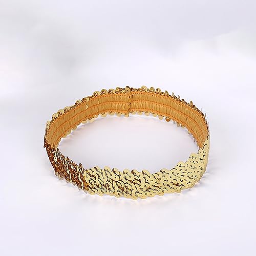 2 Stück Pailletten Stirnbänder Glitzernde Haarreifen Pailletten Haarbänder Glitzer Haarbänder Dünnes Stretch Stirnband für Frauen und Mädchen für Maskerade Cosplay Karnevals Mottoparty,Gold von Wambere