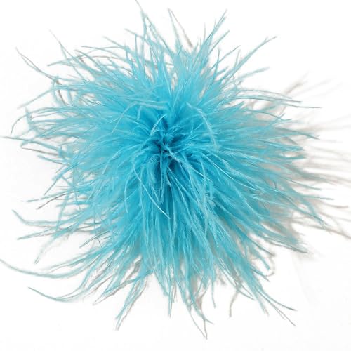 Feder BroscheFlauschige Straußenfeder Brosche Braut Hochzeit Party Weihnachten Kleid Up Corsage Pin Hut Zubehör für Frauen Hochzeitsfeier Tanz Bankett Kleid Kleidungsaccessoires,Himmelblau von Wambere